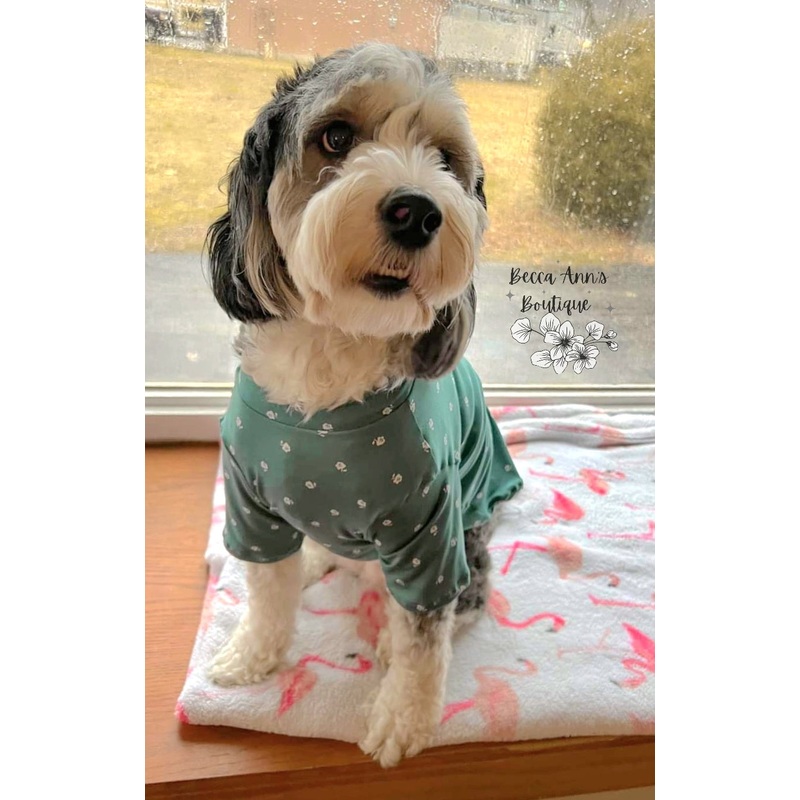 Pet Sweater|XS|Small|Medium|Large|XL|XXL