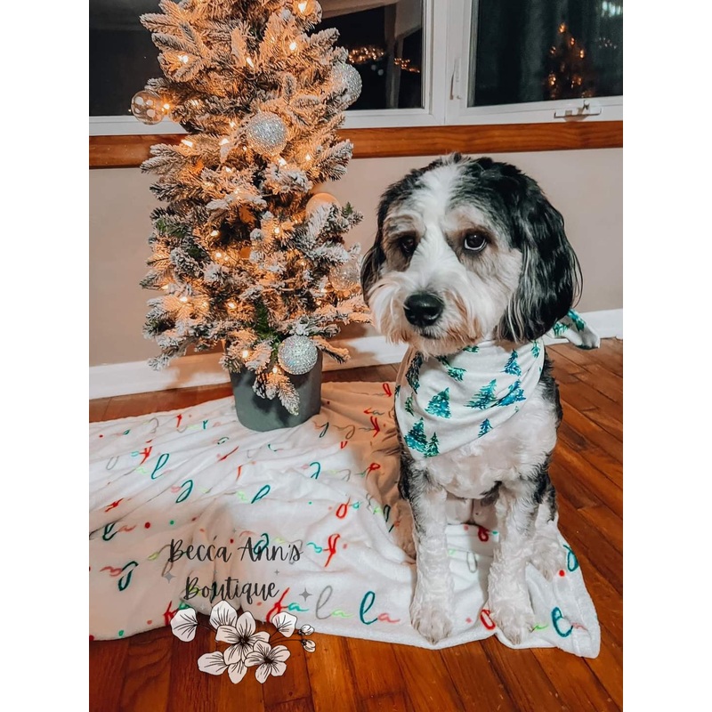 Pet Tie Bandana|XS|S|M|L|XL