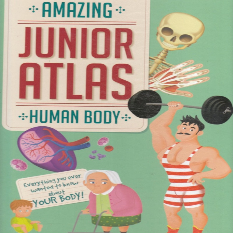 Amazing Junior Atlas|Amazing Junior Atlas : Human Body|Amazing Junior Atlas : Dinosaurs|Amazing Junior Atlas : Animals