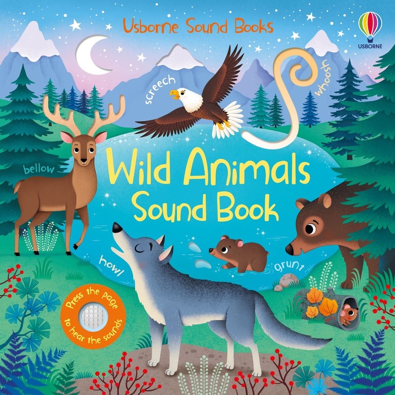 Usborne Sound Books|Wild Animal Sound Book|Zoo Sound Book