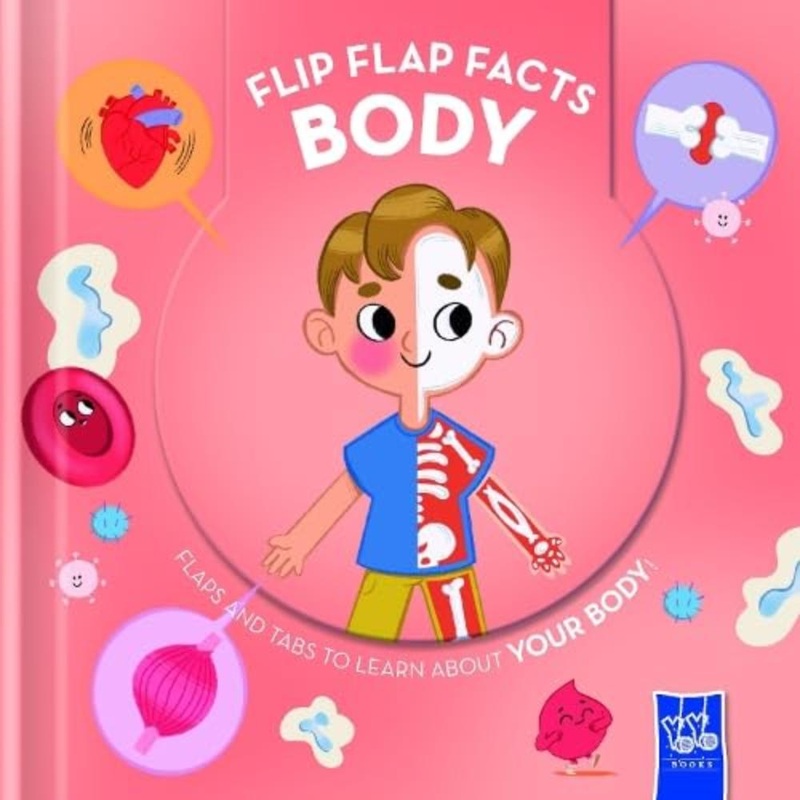 Flip Flap Facts Books|Body|Animals|Space|Dinosaurs