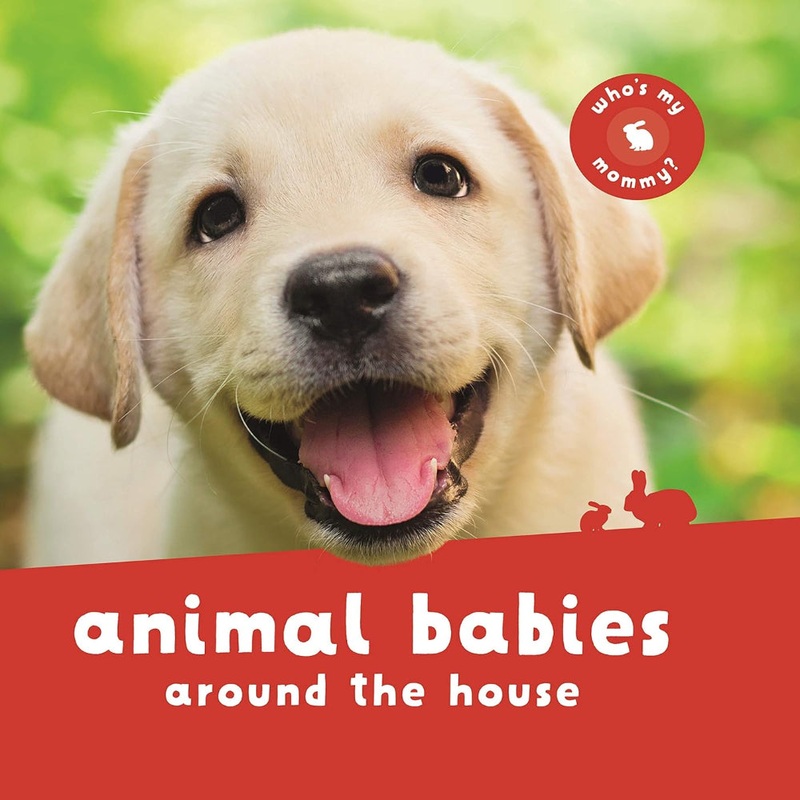 Animal Babies Board Book|Animal Babies Around The House|Animal Babies In Forests